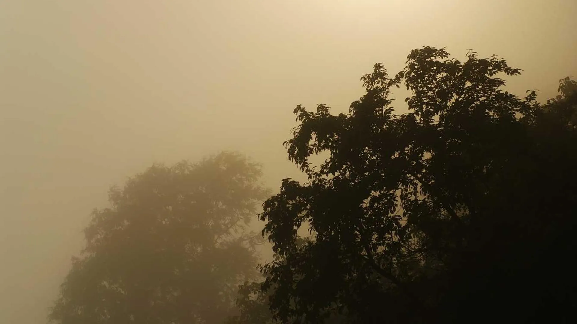 Post Example 12 Image